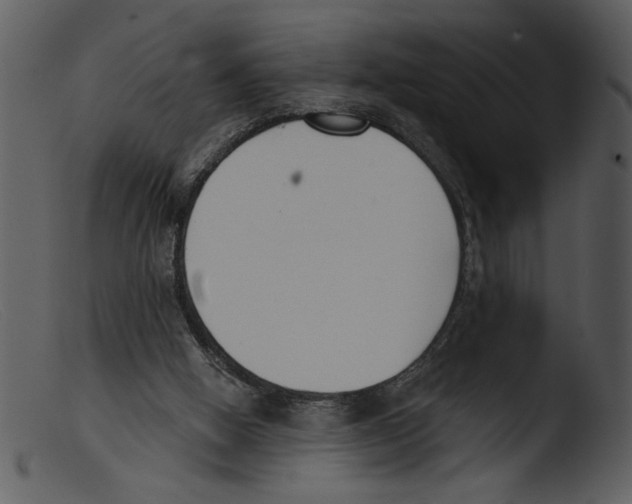 X0000103260058200809261148