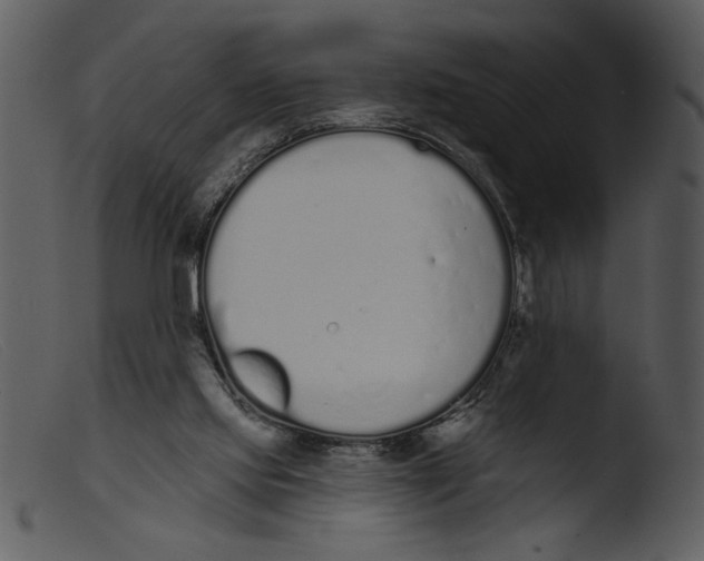 X0000103260061200809261148