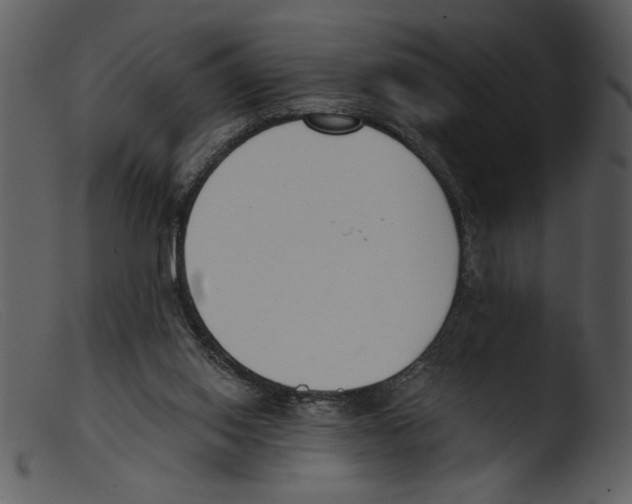 X0000103260062200809261148