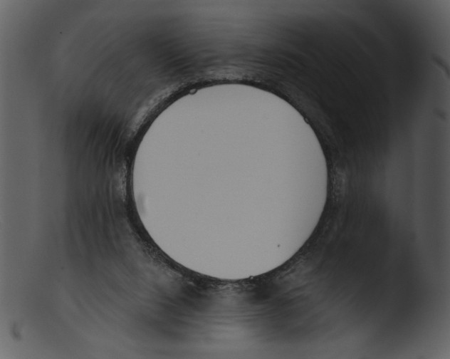 X0000103260064200809261148