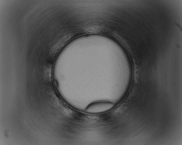 X0000103260065200809261148