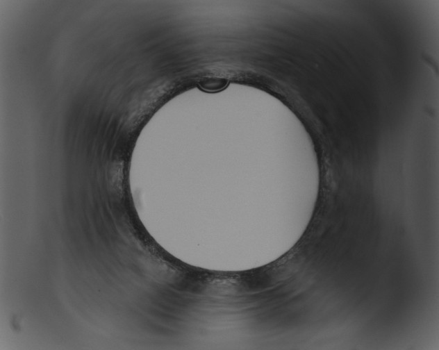 X0000103260066200809261148