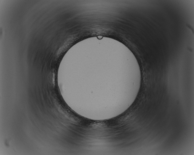 X0000103260067200809261148