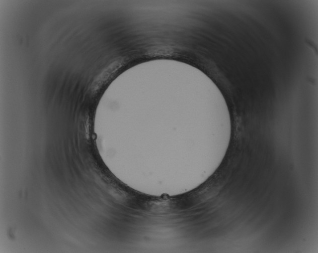 X0000103260068200809261148