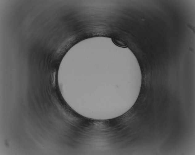 X0000103260070200809261148