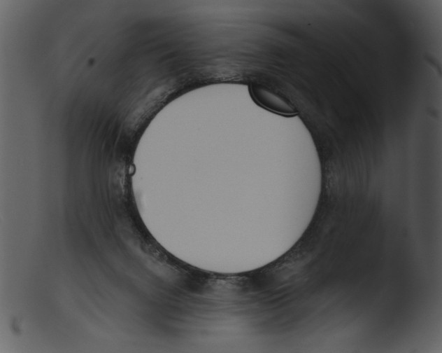 X0000103260072200809261148