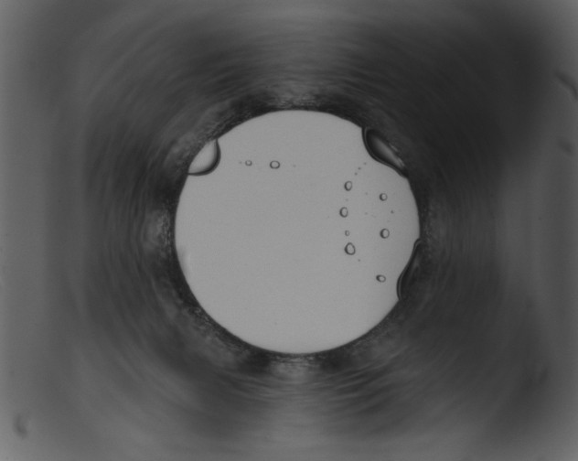 X0000103260079200809261148