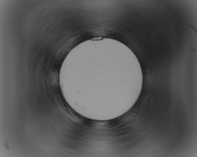 X0000103260081200809261149