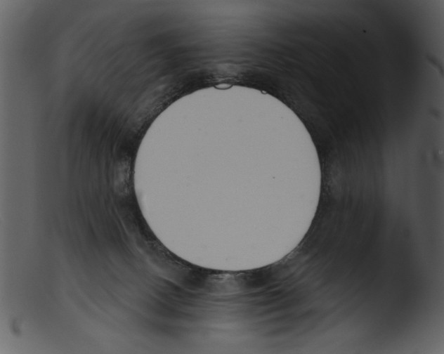 X0000103260082200809261149