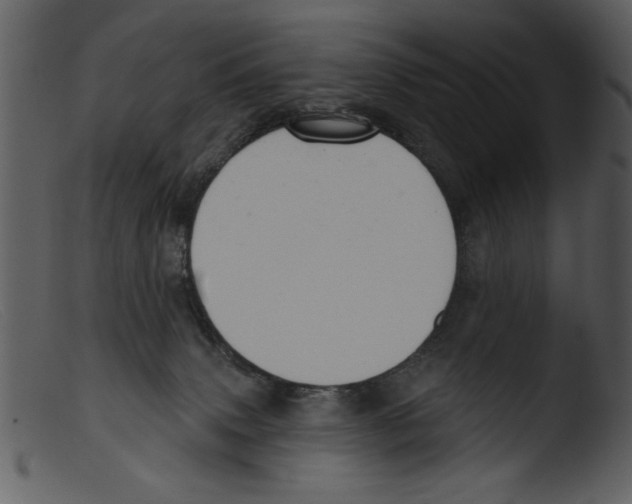 X0000103260083200809261149