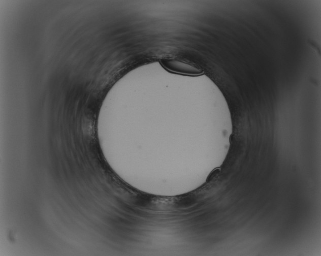 X0000103260084200809261149