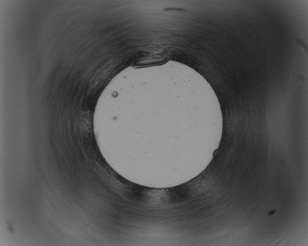 X0000103260085200809261149