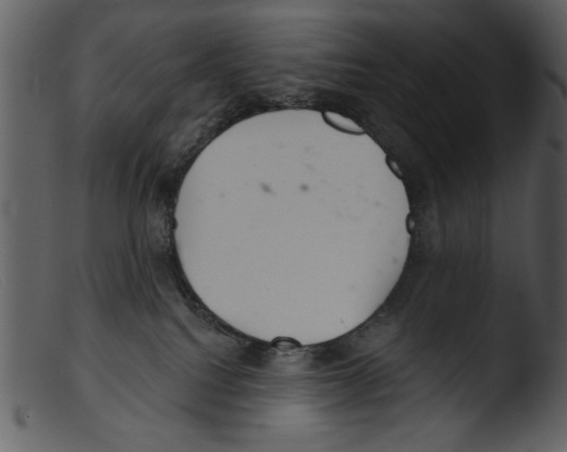 X0000103260088200809261149