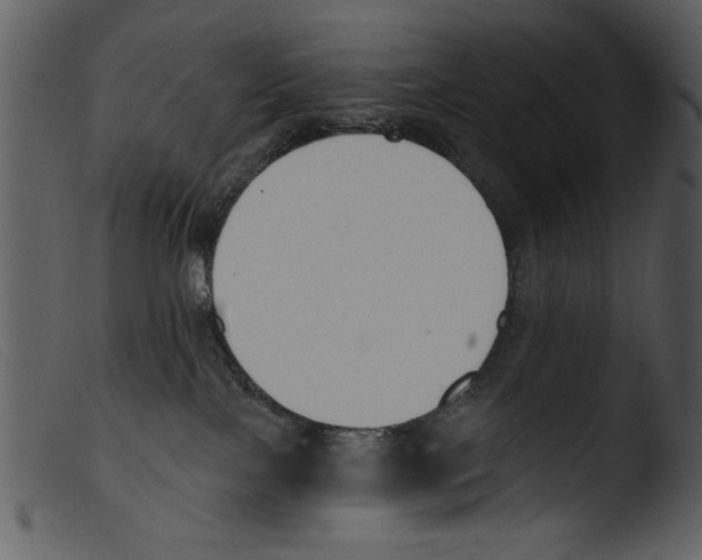 X0000103260089200809261149