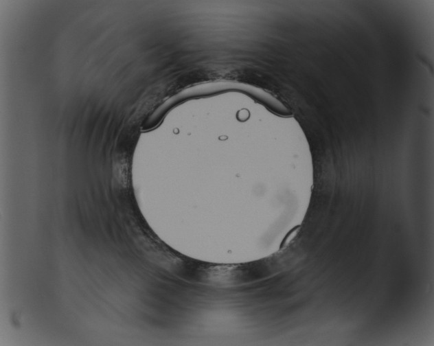 X0000103260090200809261149