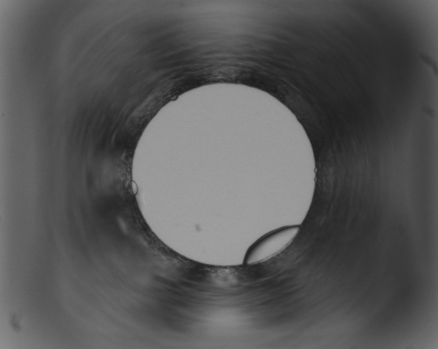 X0000103260091200809261149