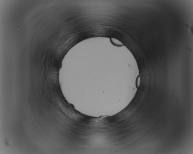 X0000103260092200809261149