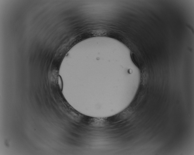 X0000103260093200809261149