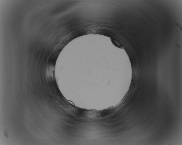 X0000103260094200809261149