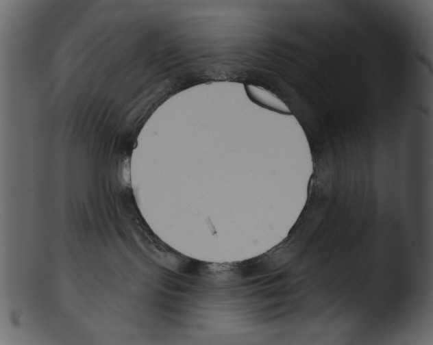 X0000103260095200809261149