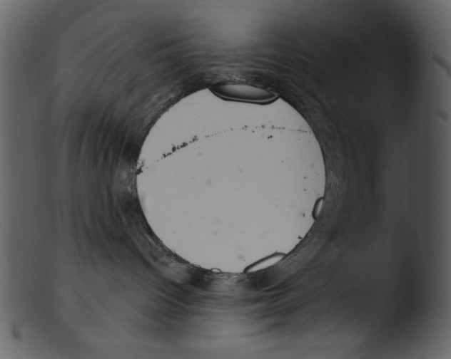 X0000103260096200809261149