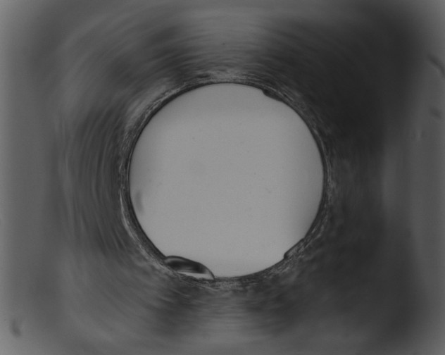 X0000103260097200809261148