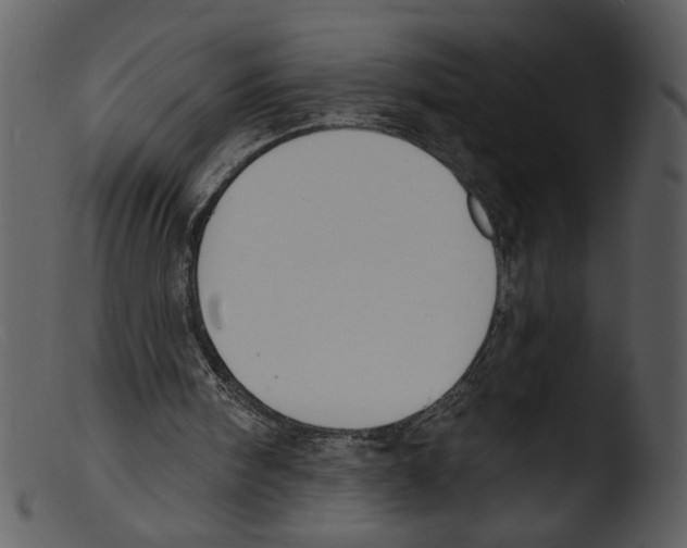 X0000103260098200809261148