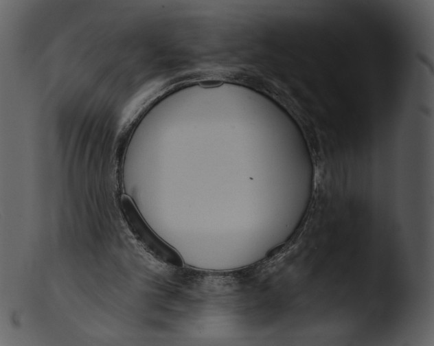 X0000103260101200809261148