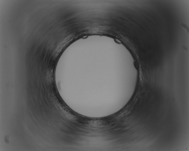 X0000103260105200809261148