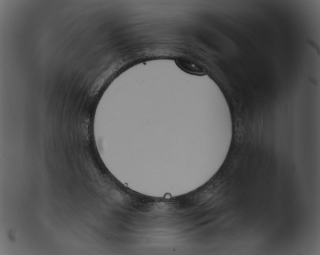 X0000103260111200809261148