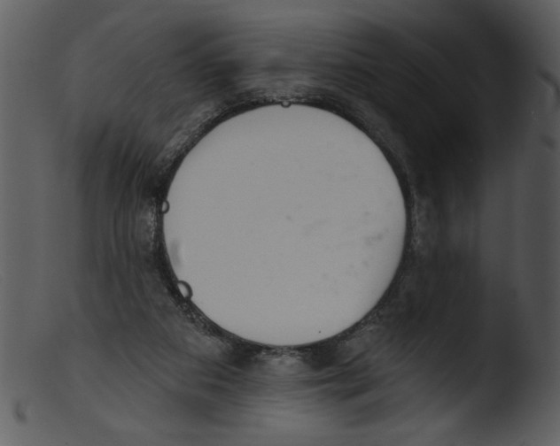 X0000103260113200809261148