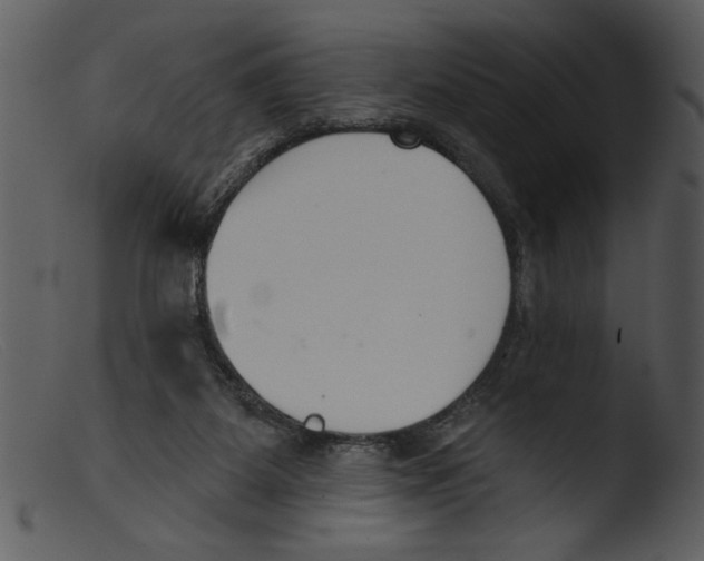 X0000103260115200809261148