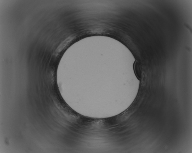 X0000103260116200809261148