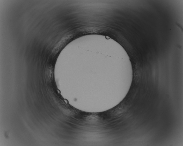 X0000103260119200809261148