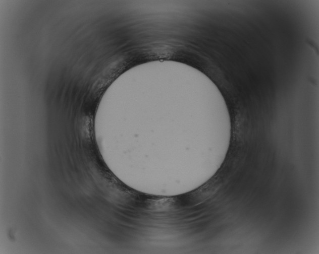 X0000103260122200809261148