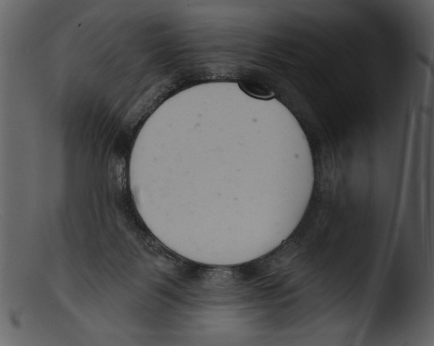 X0000103260123200809261148