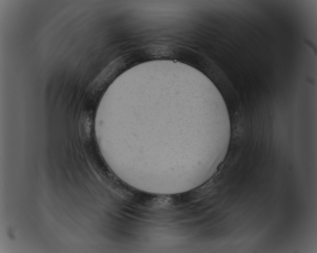 X0000103260124200809261148