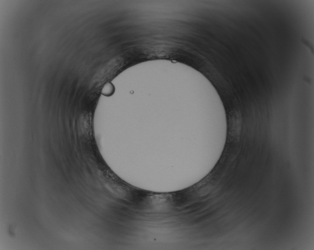 X0000103260126200809261148