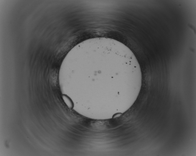 X0000103260129200809261148