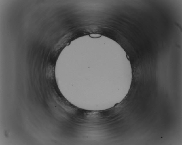 X0000103260132200809261148