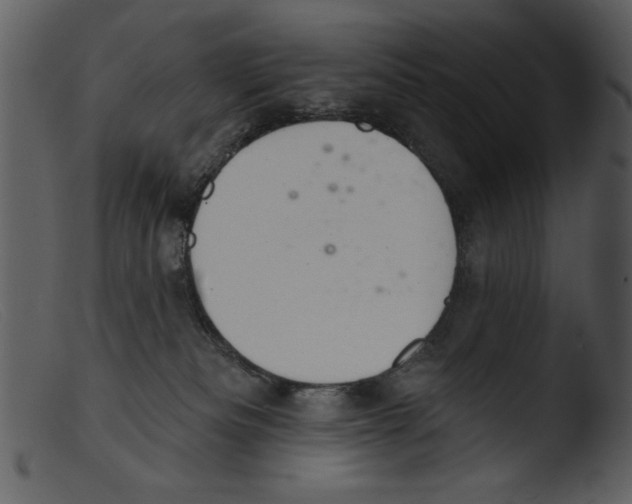 X0000103260133200809261148