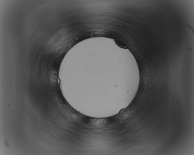 X0000103260135200809261148