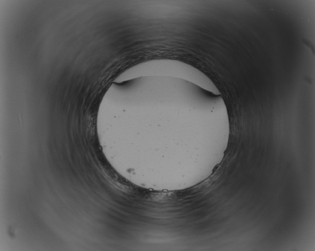 X0000103260136200809261148