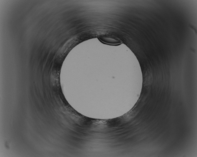 X0000103260140200809261147