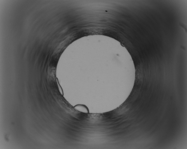 X0000103260141200809261147