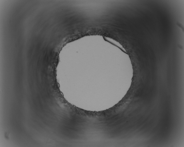 X0000103260144200809261147