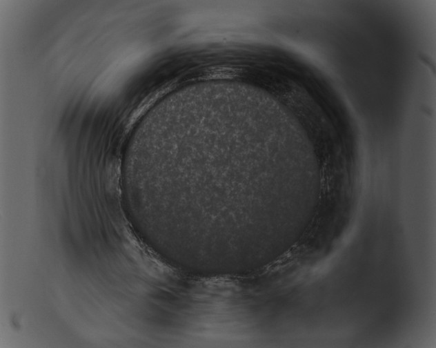 X0000103260146200809261147