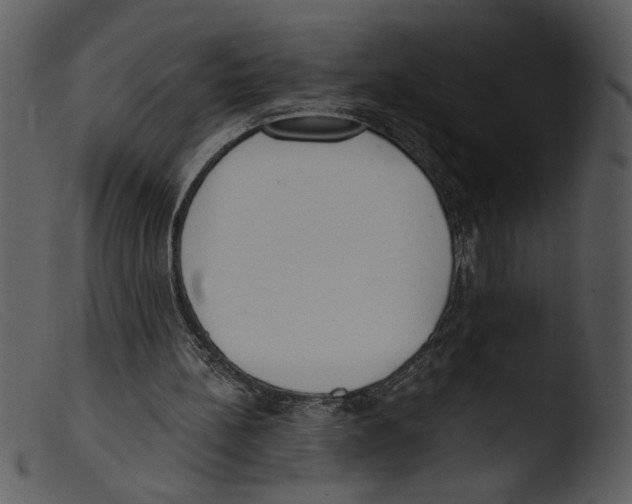 X0000103260148200809261147