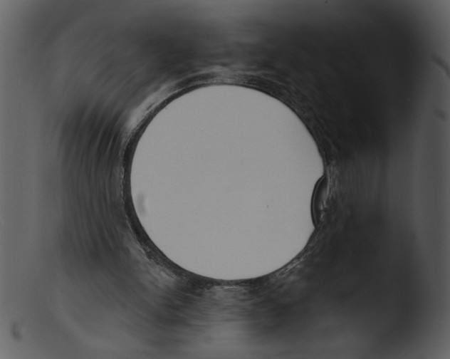 X0000103260150200809261147