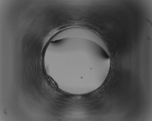 X0000103260152200809261147